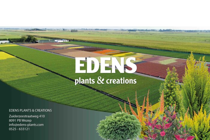 Edens Plants & Creations: